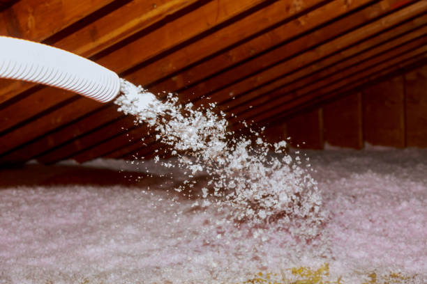 Best Residential Insulation in Loving, NM