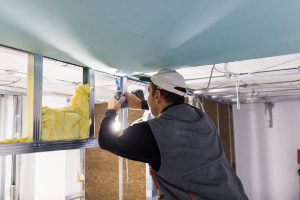 Best Eco-Friendly Insulation in Loving, NM
