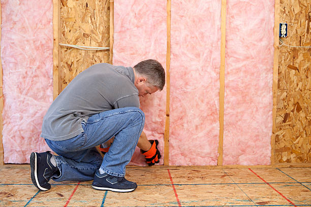 Best Spray Foam Insulation in Loving, NM