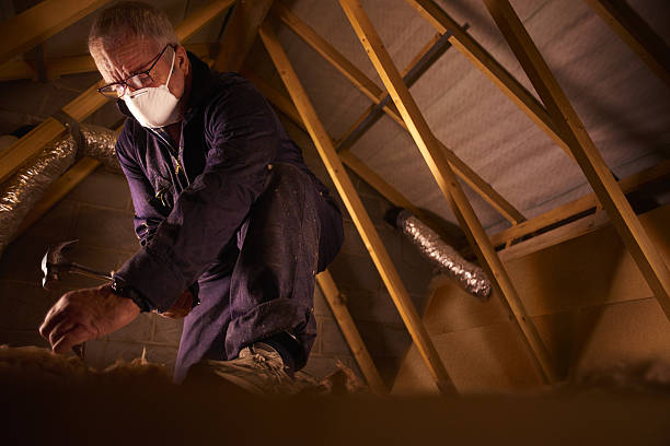 Trusted Loving, NM Insulation Contractor Experts